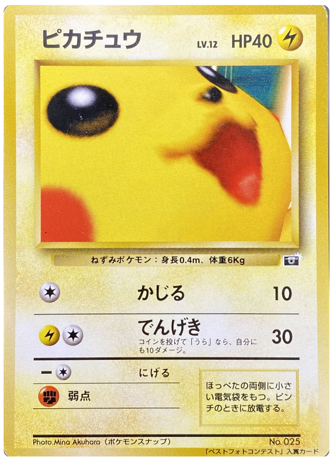 ピカチュウ ポケモンスナップ ベストフォトコンテスト